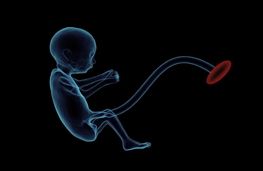 découvrez les étapes fascinantes du développement fœtal, de la fécondation à la naissance. comprenez les changements clés qui se produisent au cours de la grossesse pour garantir le bien-être du futur bébé.
